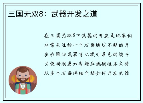 三国无双8：武器开发之道